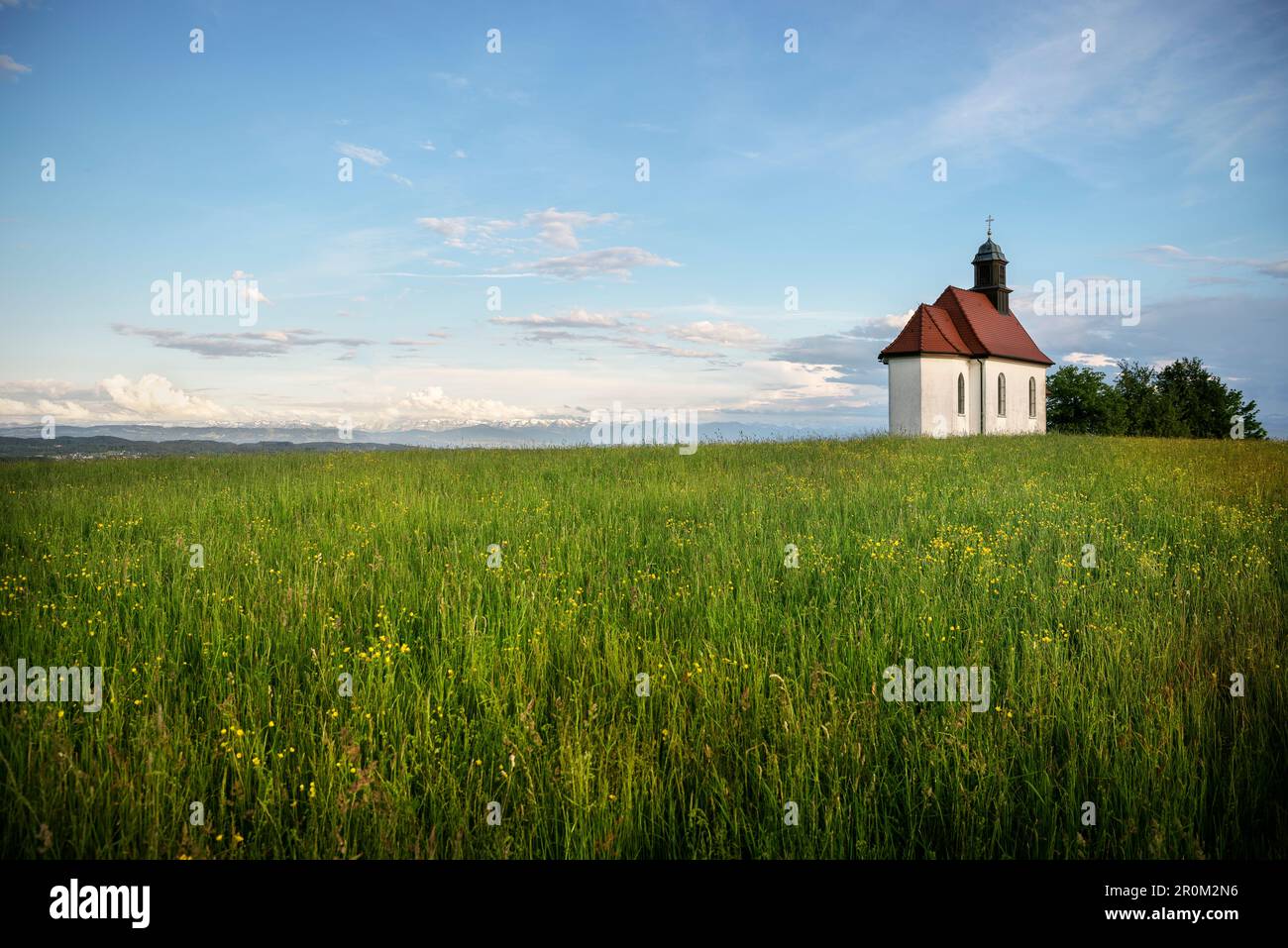 Chapeau de Haldenberg à Ailingen à côté de Friedrichshafen, district du lac de Constance, Bade-Wurtemberg, Allemagne Banque D'Images