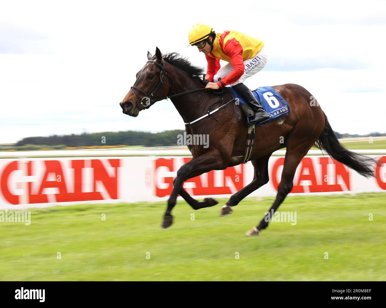 Jockey shane foley at curragh racecourse Banque de photographies et d ...