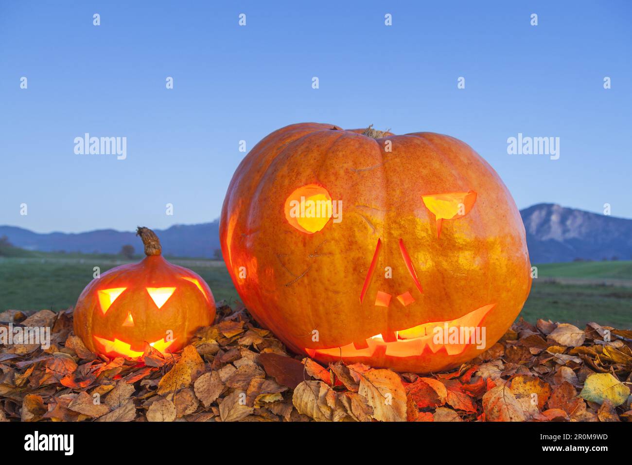 Citrouille dans le feuillage pour Halloween Banque D'Images