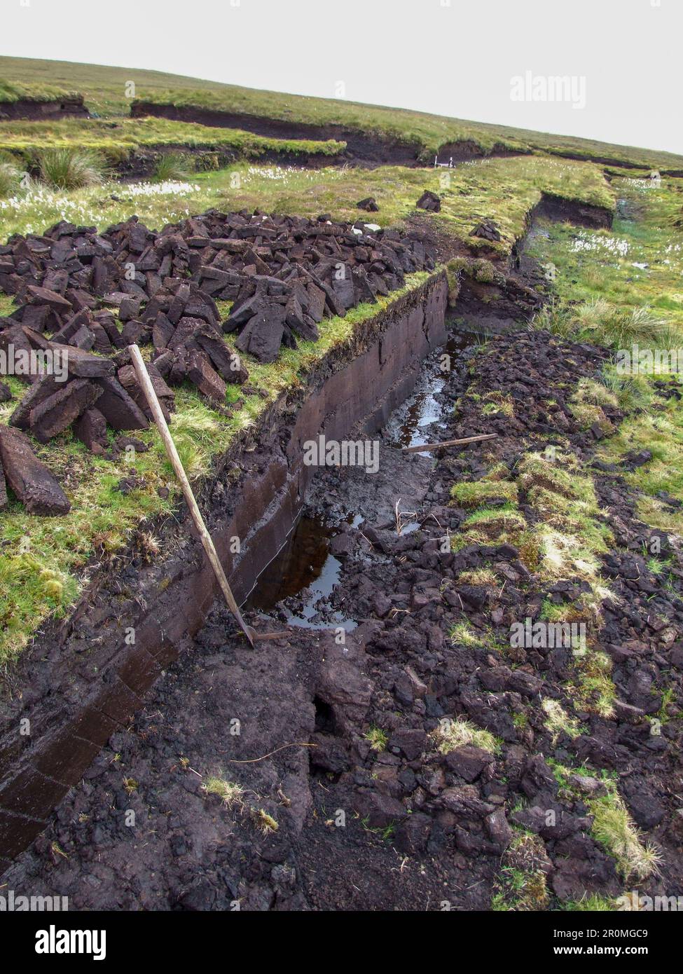 Des bancs de tourbe sont coupés pour le carburant d'hiver à Shetland, en Écosse Banque D'Images
