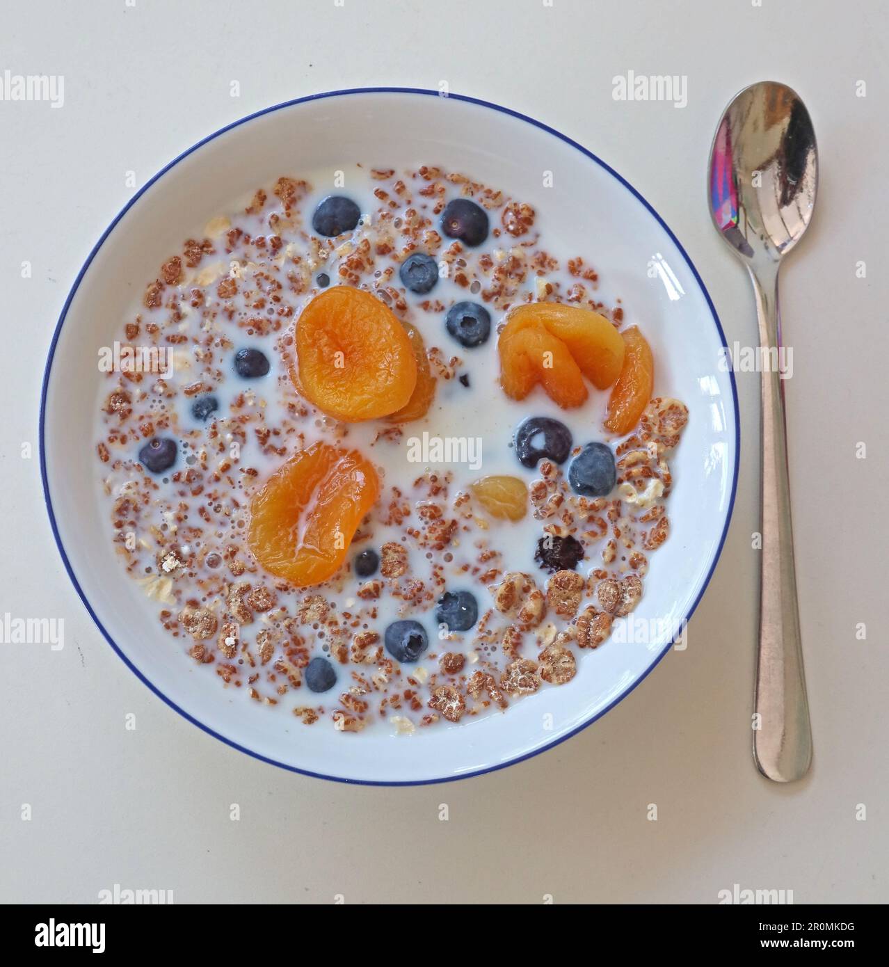 Bol de petit déjeuner à base de muesli de style suisse et de fruits secs, lait entier, avec cuillère pour un départ sain - bleuets, abricots, raisins secs, avoine Banque D'Images