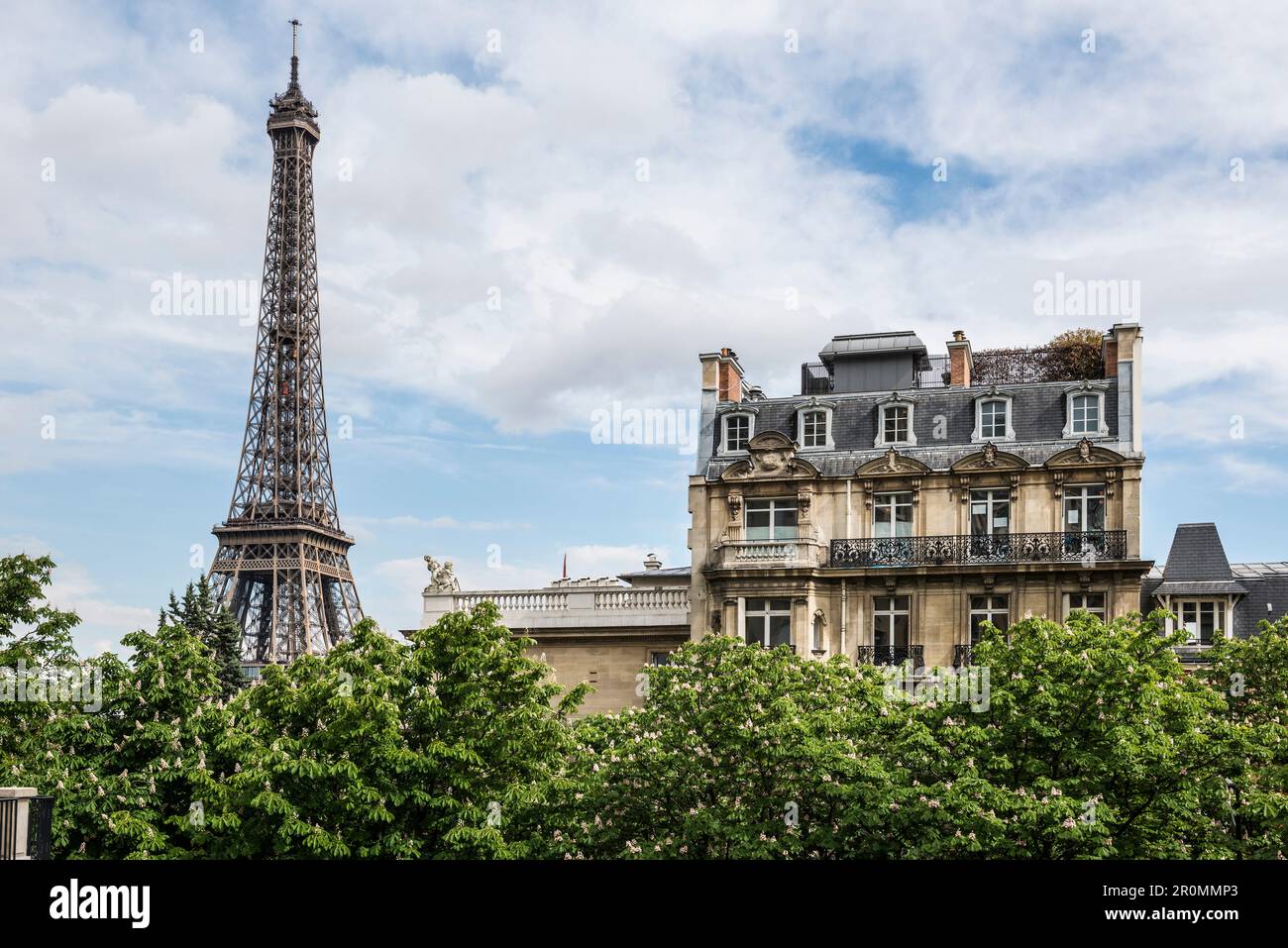 Tour Eiffel, Tour Eiffel, Île-de-France, Paris, France Banque D'Images