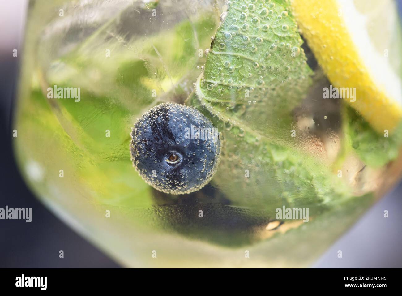 un bel bicchiere di cocktail con limone foglie di menta e mirtilli Banque D'Images