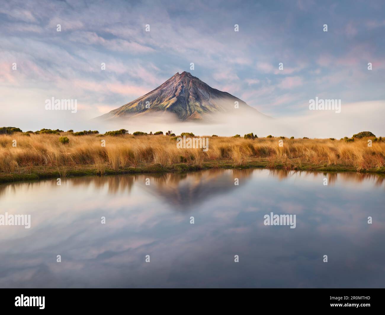 Mont Taranaki, Près De Pouakai Hut, Parc National D'Egmont, Taranaki, Île Du Nord, Nouvelle-Zélande, Océanie Banque D'Images