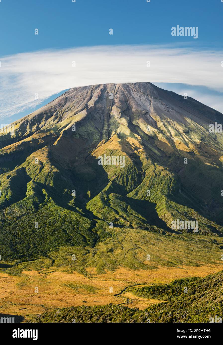 Mont Taranaki, Près De Pouakai Hut, Parc National D'Egmont, Taranaki, Île Du Nord, Nouvelle-Zélande, Océanie Banque D'Images