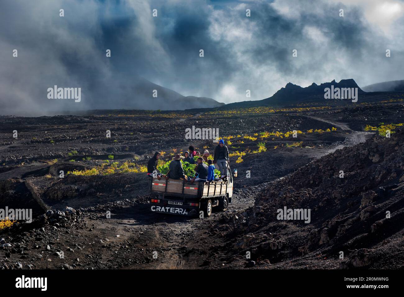 Cap-Vert, île Fogo, Parc national Fogo, Village Cha, paysage, Vulcano actif, Lavafield, café, vignobles, vin, agriculteurs, travail de la terre Banque D'Images