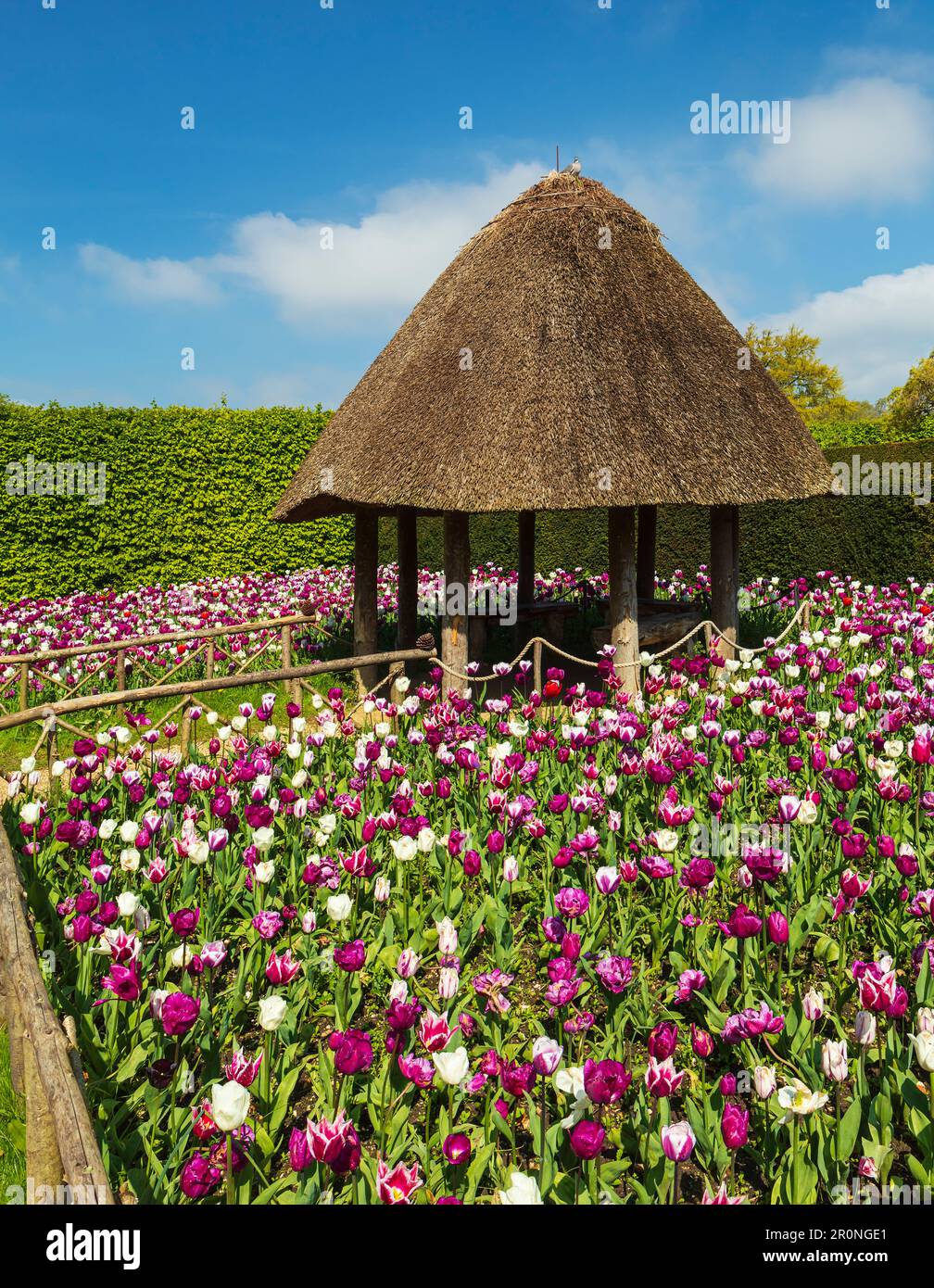 Jardins du château d'Arundel. Banque D'Images