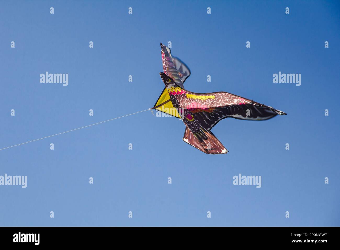 cerf-volant d'aigle dans le ciel .un cerf-volant d'aigle glisse contre le vent dans le ciel. Banque D'Images