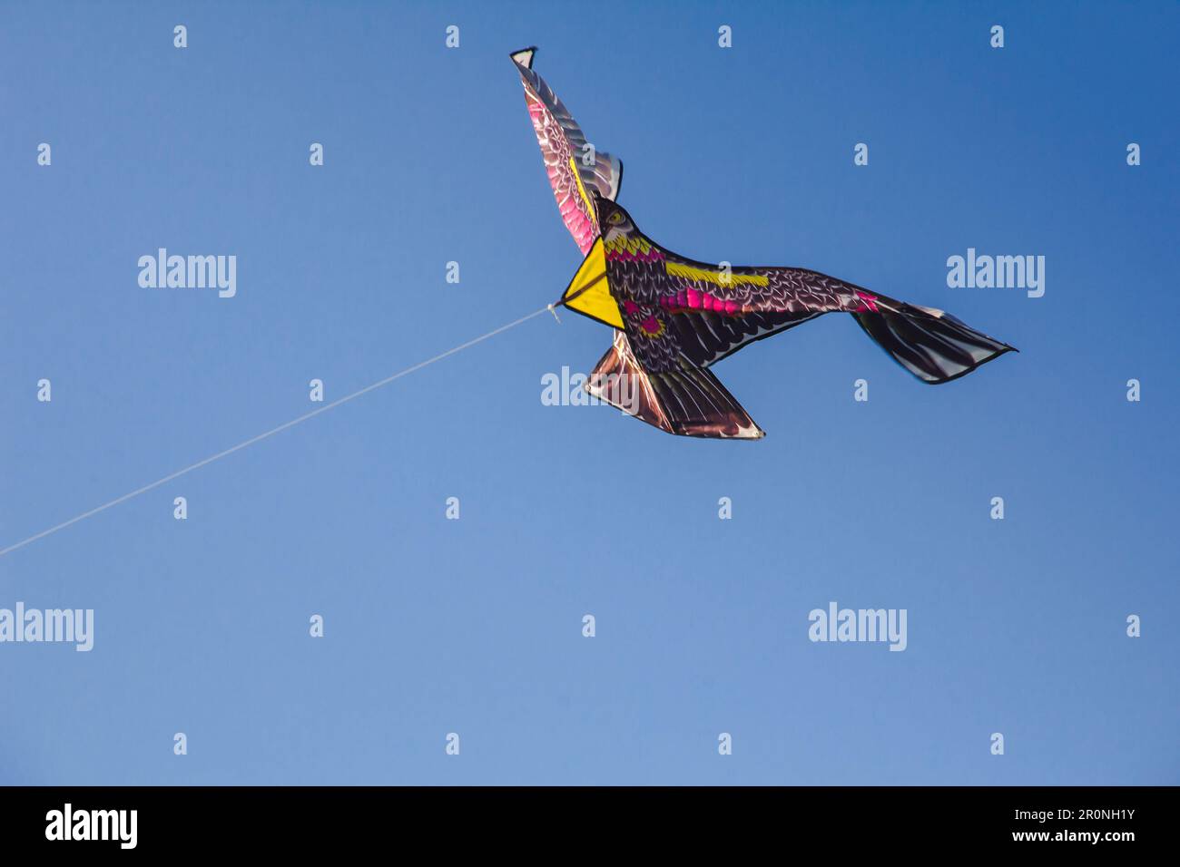 cerf-volant d'aigle dans le ciel .un cerf-volant d'aigle glisse contre le vent dans le ciel. Banque D'Images