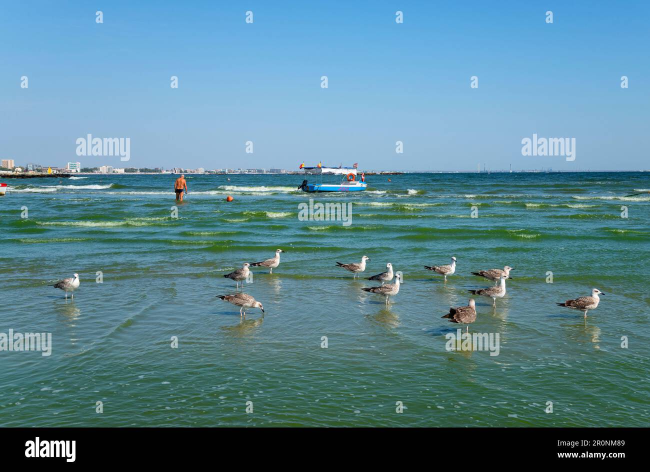 Plage de Mamaia, Constanta, Dobruja, Côte de la Mer Noire, Roumanie Banque D'Images