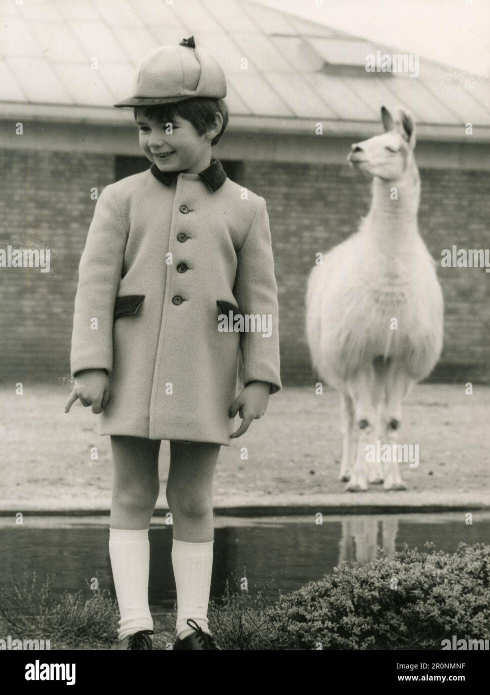 Mode pour enfants : modèle portant un manteau de chameau en pure laine et col en velours et poches par le designer britannique Ellandeo, Royaume-Uni 1966 Banque D'Images