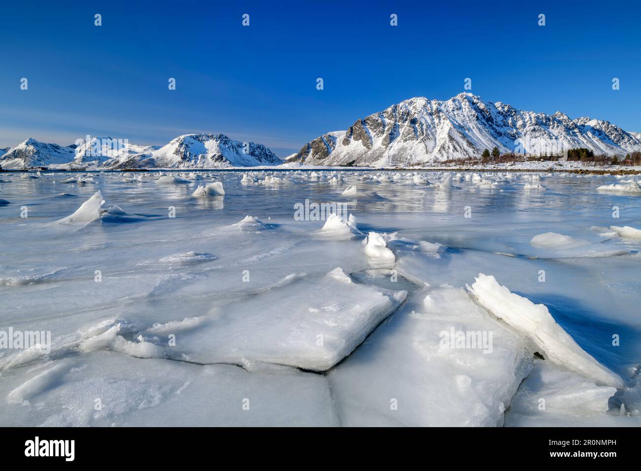 Floes de glace au bord de la mer en face des montagnes enneigées, Lofoten, Nordland, Norvège Banque D'Images