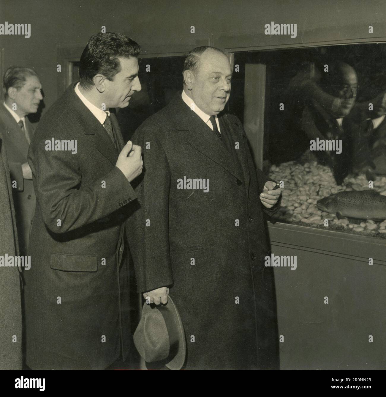 Luigi Meda, maire adjoint de Milan, et Gianfranco Crespi, conseiller touristique, lors de la cérémonie d'ouverture de l'Aquarium restauré de Milan, Italie 1963 Banque D'Images