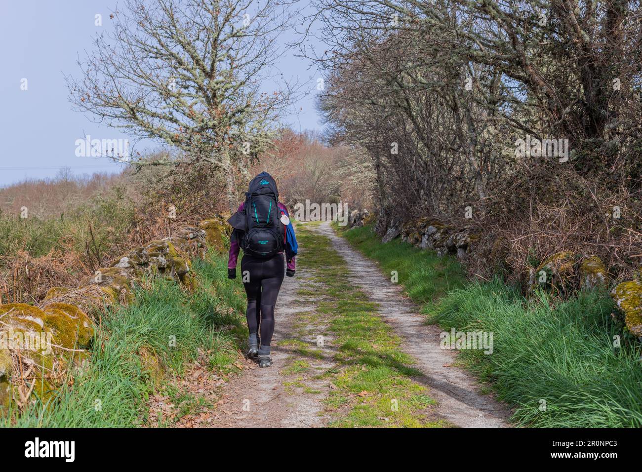 Navarre, Espagne, 04 décembre, 2022: Promenade en pèlerinage le long du Camino de Santiago, le chemin de Saint Route de pèlerinage de James, Navarre, Espagne. Banque D'Images