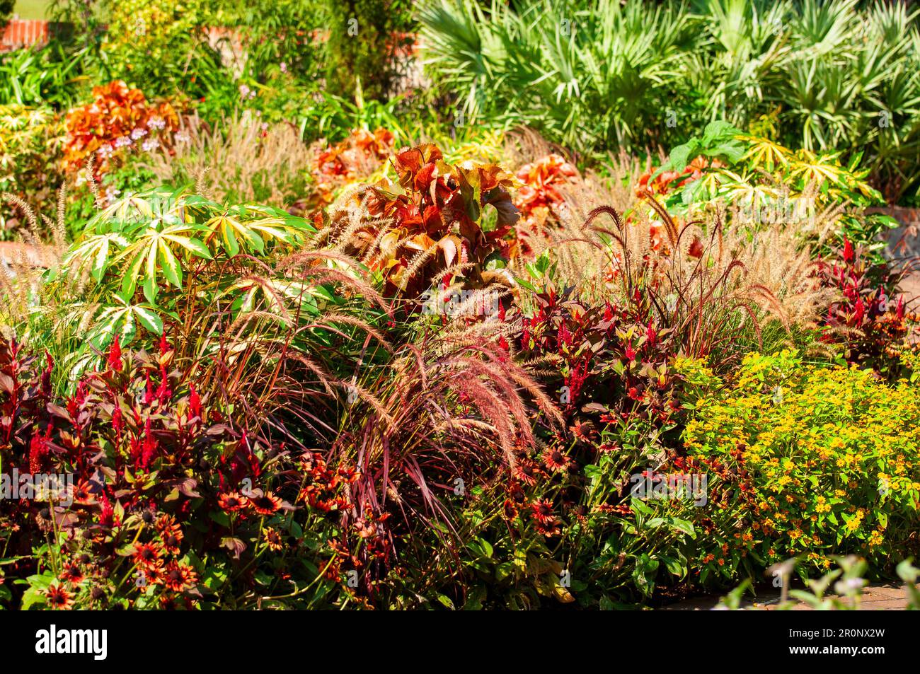 Les jardins exposés présentent une variété de couleurs. Banque D'Images
