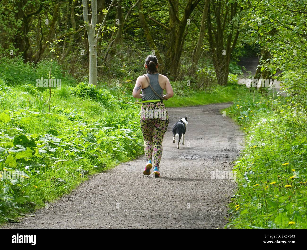 Une femme jogger et son chien sur le Sett Valley Trail, Derbyshire Banque D'Images