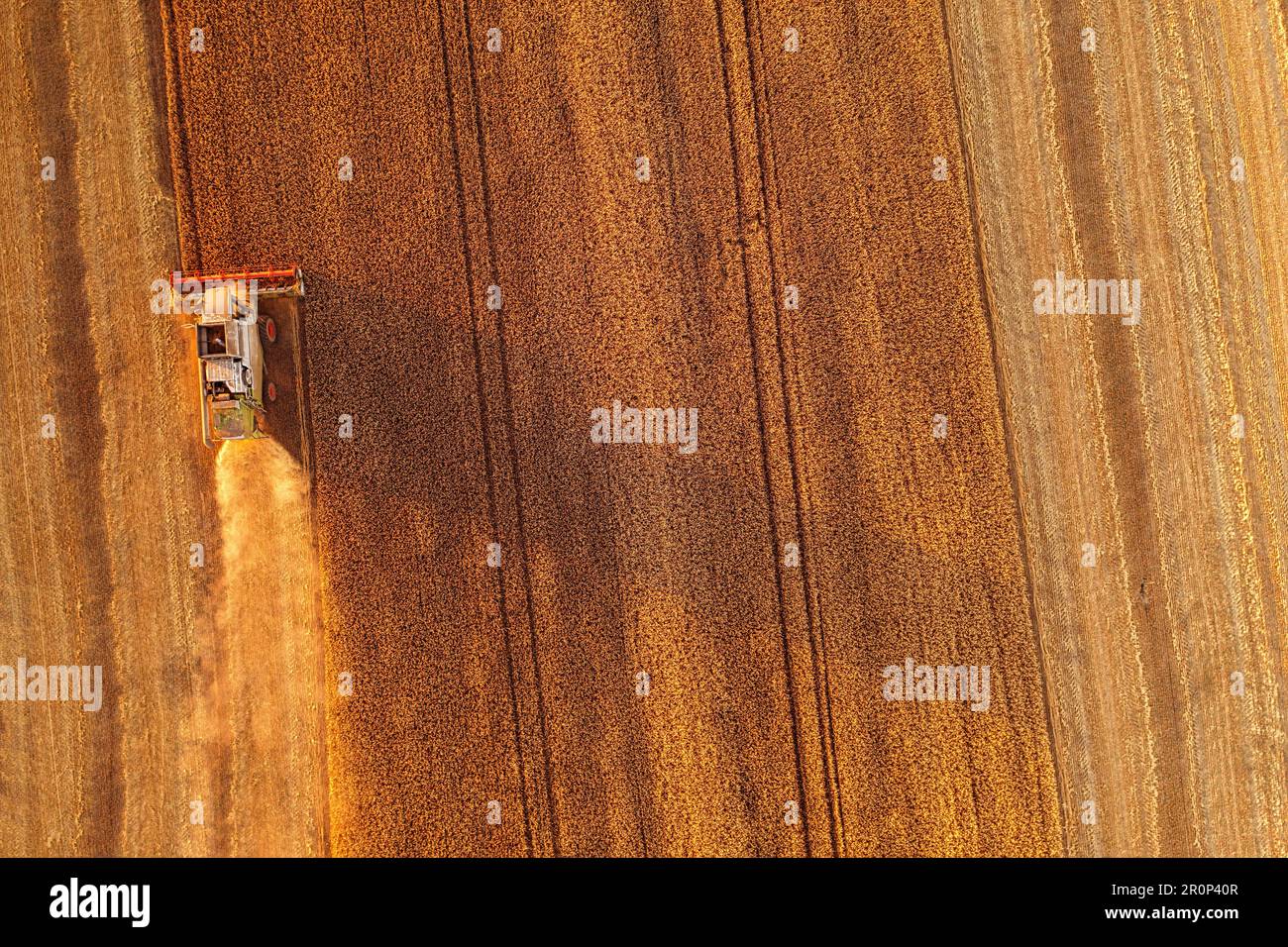 D'en haut : une photo aérienne spectaculaire d'une moissonneuse-batteuse au travail dur dans les champs de blé Banque D'Images