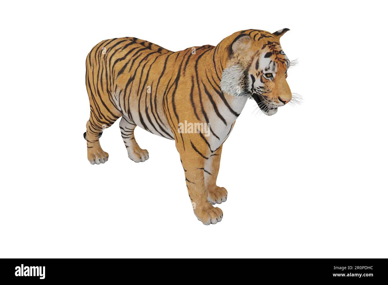 3d rendre un animal tigre réaliste Banque D'Images