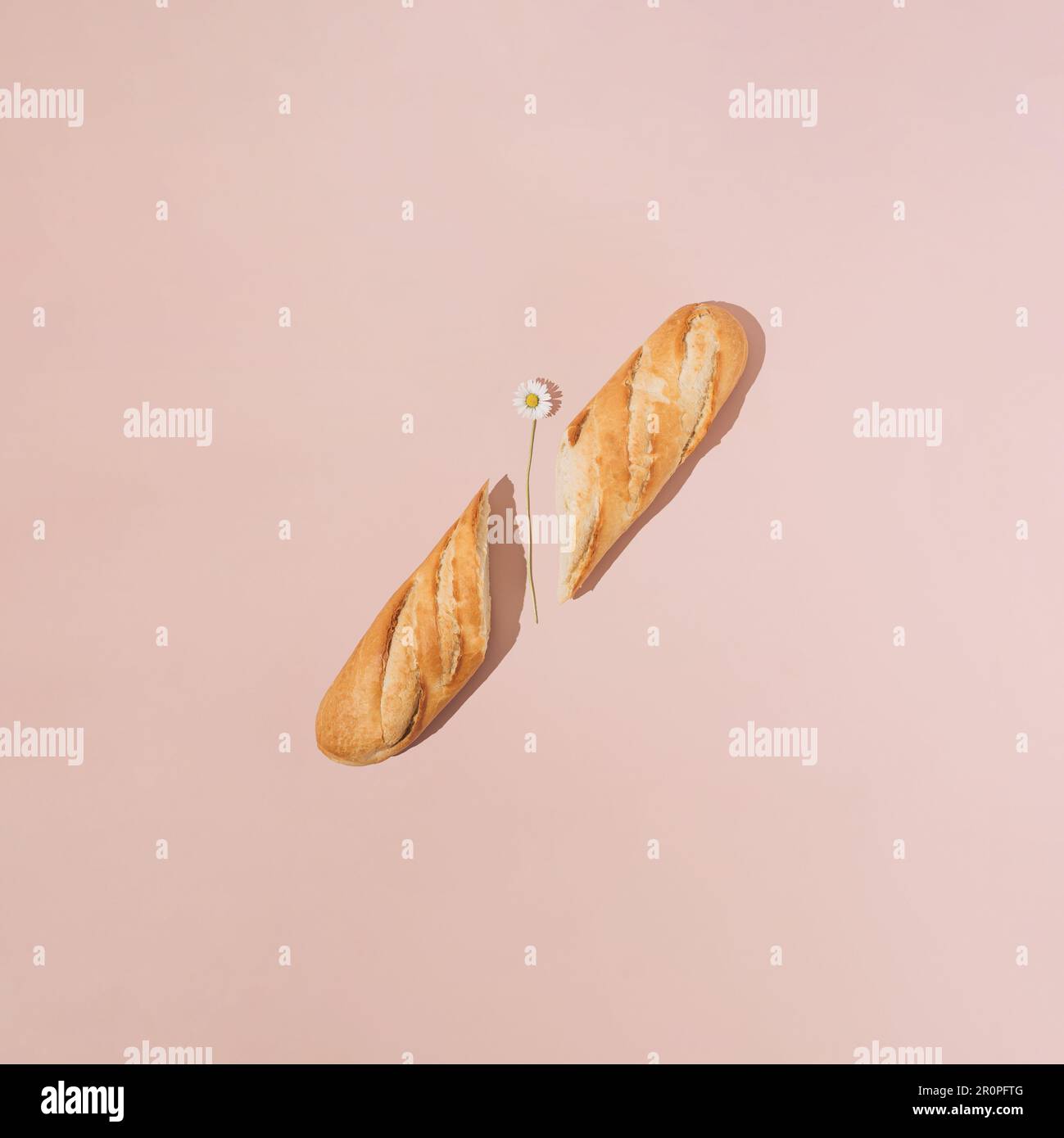 Pain de baguette frais coupé en deux avec fleur de pâquerette sur fond rose. Concept alimentaire d'été minimal. Banque D'Images