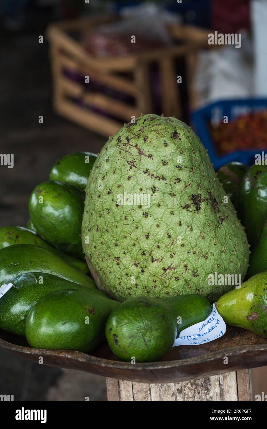 Un fruit soursop (Annona muricata) dans le marché El Valle de Anton Banque D'Images