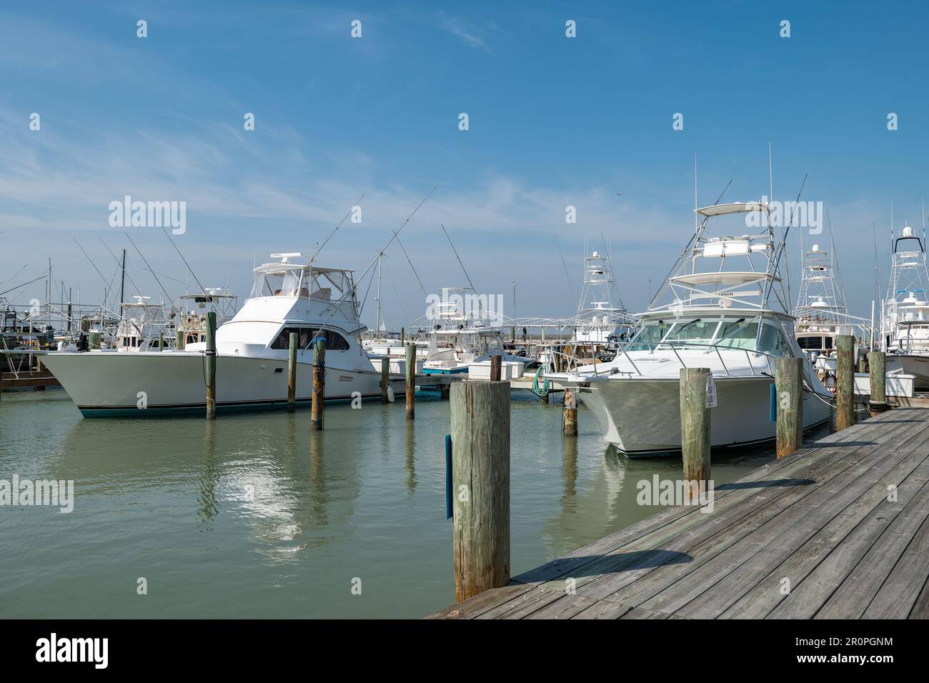 PORT ARANSAS, TX - 22 FÉV 2023: Plusieurs bateaux de pêche de sport blanc ou yacht aux quais en bois de la marina, sur une journée ensoleillée. Banque D'Images