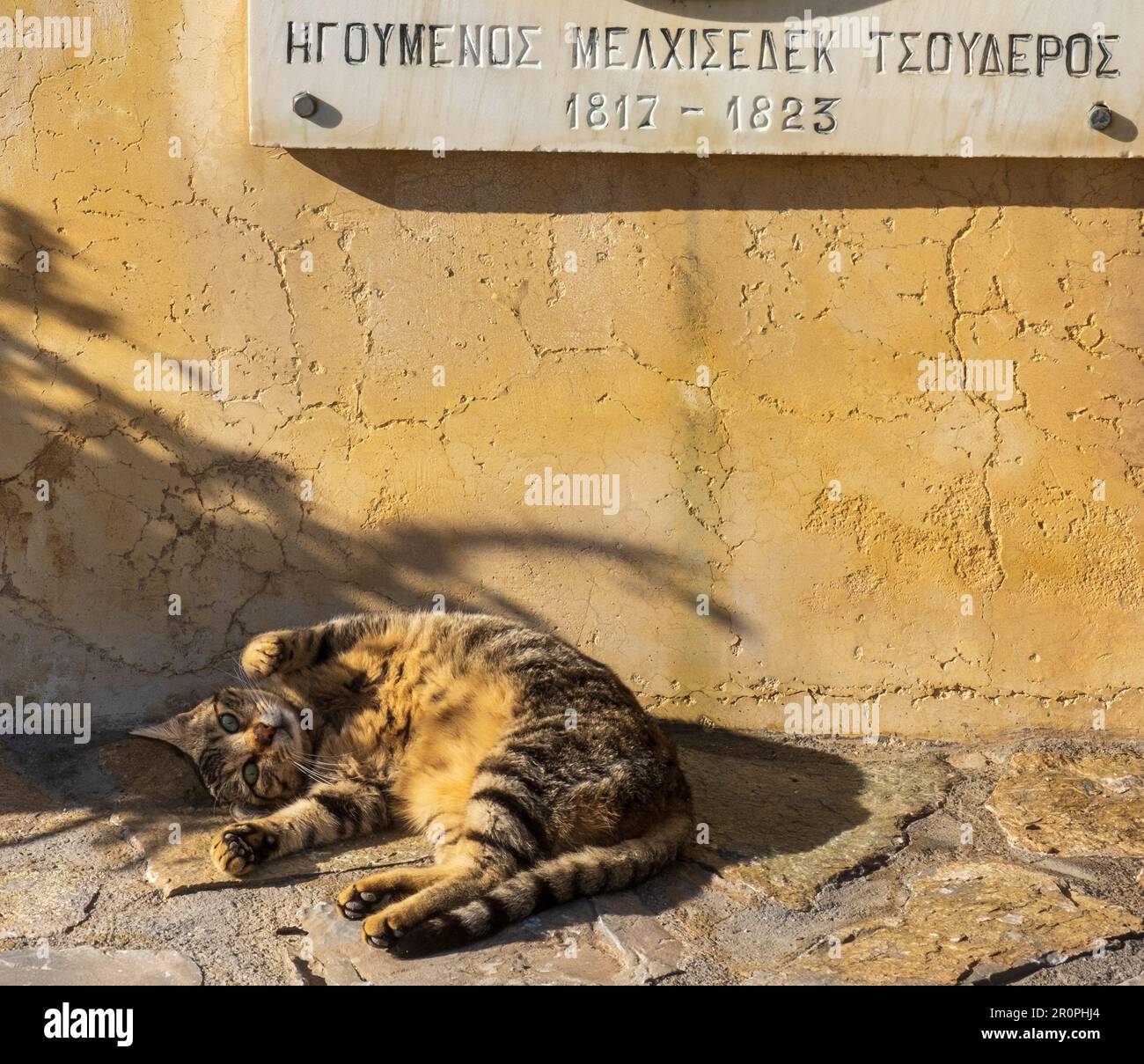 Les chats du monastère règnent, Crète, Grèce Banque D'Images