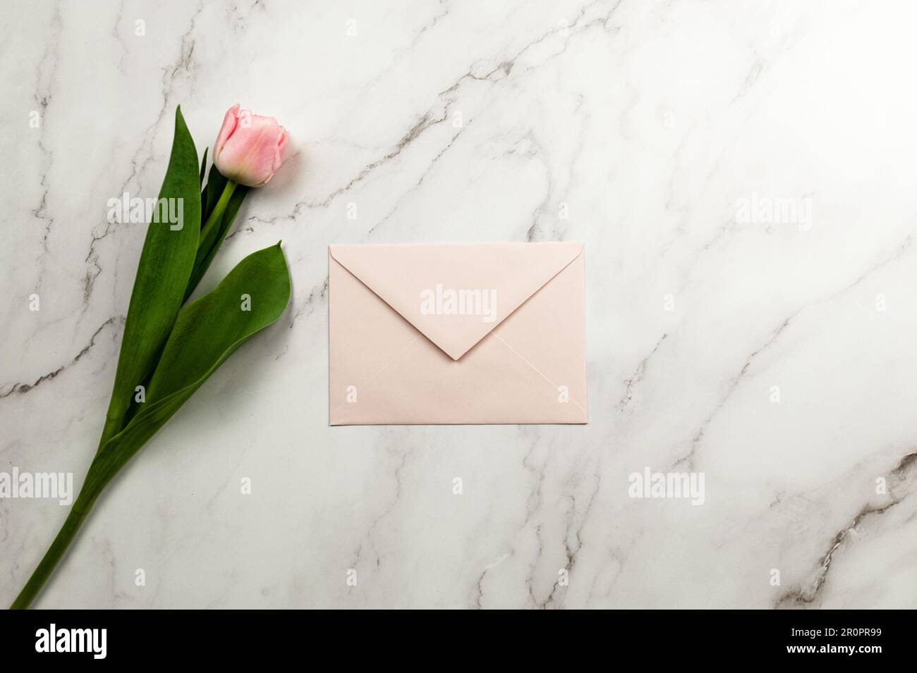 Vue de dessus de tulipe rose et enveloppe rose sur fond de marbre blanc. Fleur de printemps et enveloppe à plat. Copier l'espace. Banque D'Images