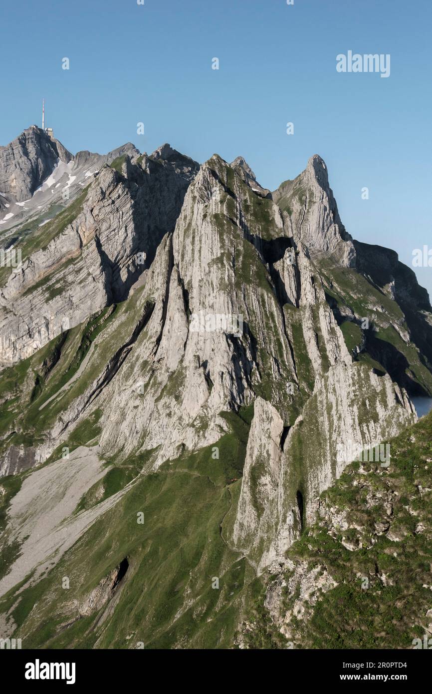 Le pic de Santis dans la belle région d'Appenzell sous un ciel bleu clair. Alpes suisses, Suisse Banque D'Images