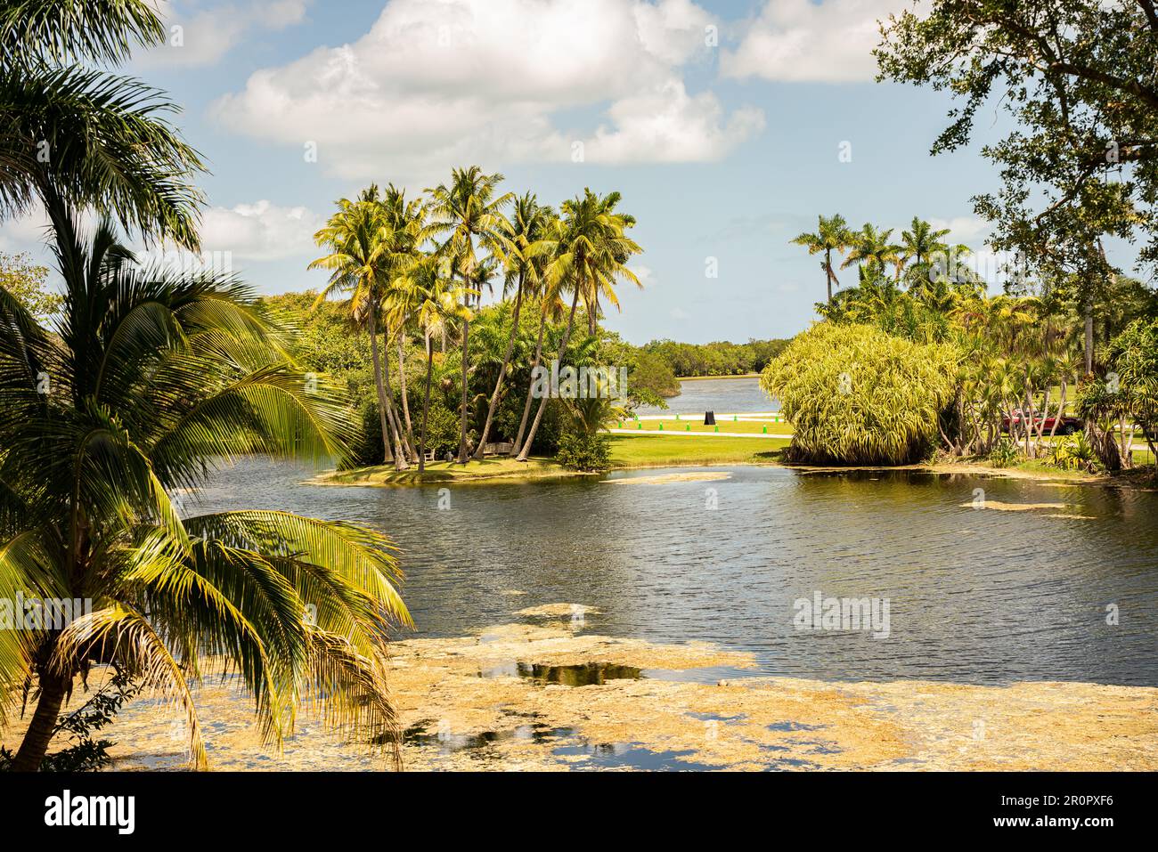 Fairchild Tropical Botanic Garden, Miami, Floride - paysage naturel d'un jardin botanique immaculé avec un ciel spectaculaire, un lac et des palmiers Banque D'Images