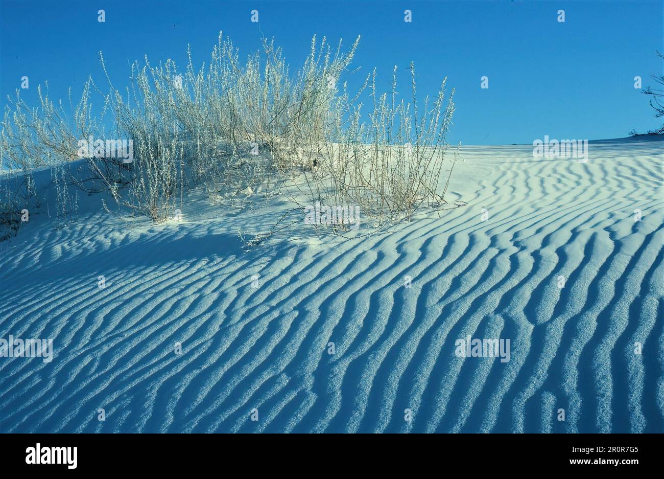 Motifs de sable au parc national de White Sands Banque D'Images