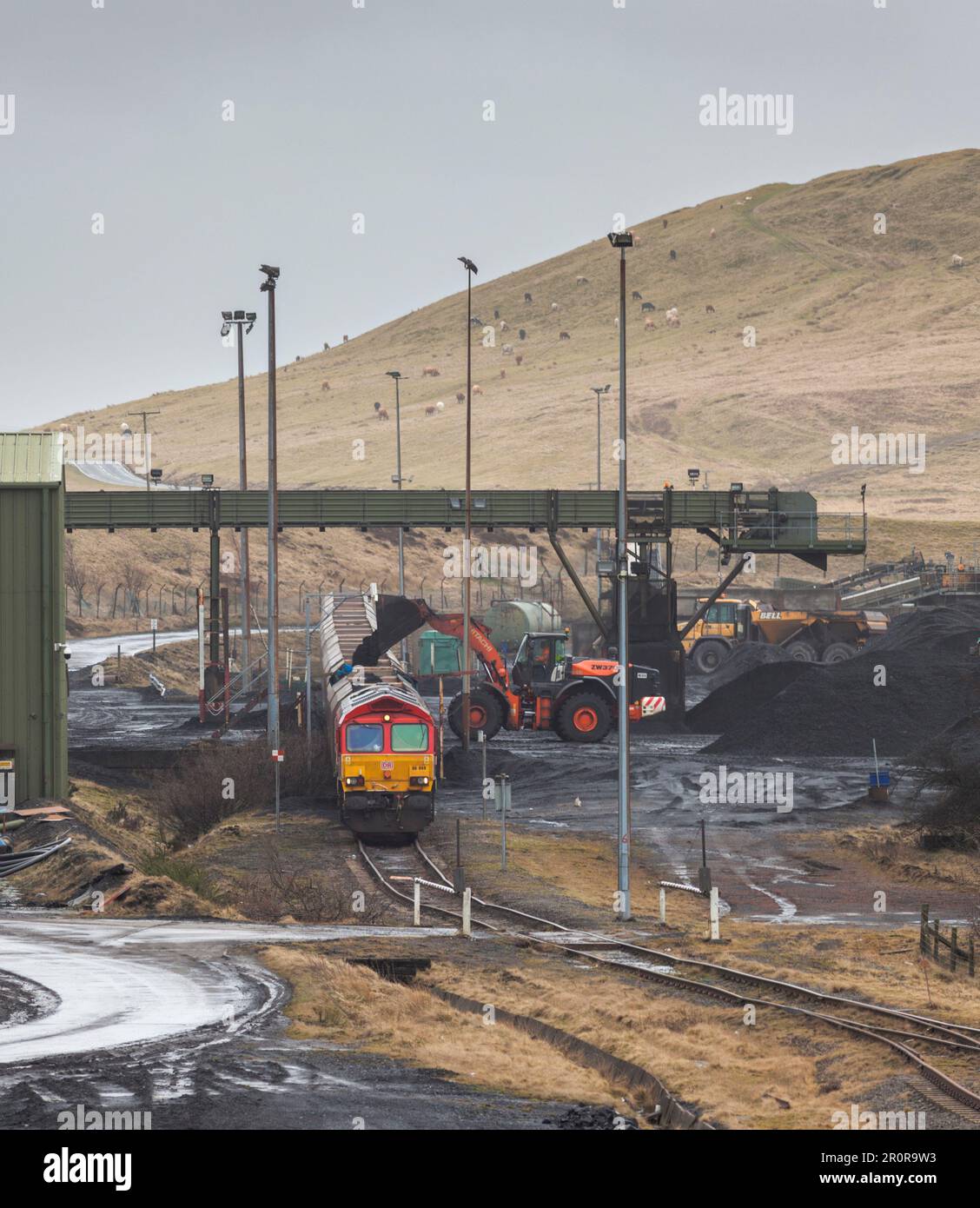 Chargement d'un train de fret britannique DB Cargo au point d'évacuation de Cwmbargoed avec du charbon provenant de la mine à ciel ouvert Ffos-y-Fran, pays de Galles, Royaume-Uni Banque D'Images