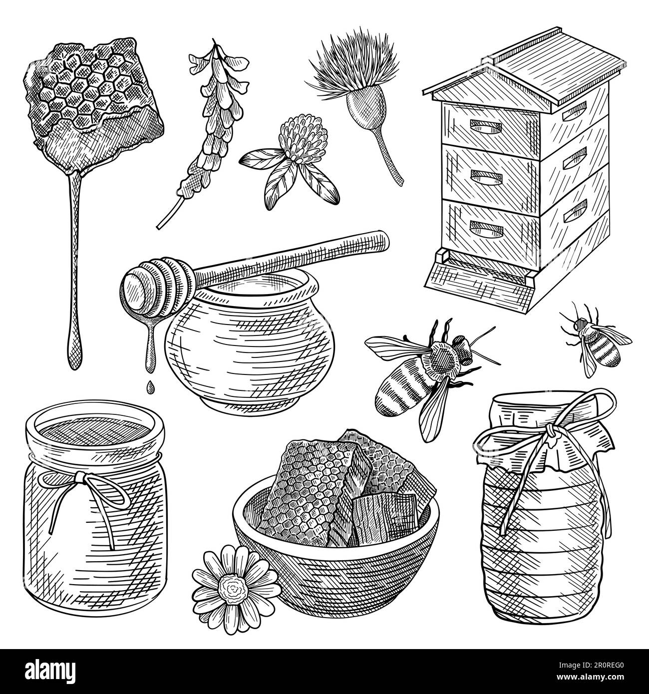 Abeille, miel en pot, ruche, nid d'abeille, cuillère, fleurs, ensemble Illustration de Vecteur