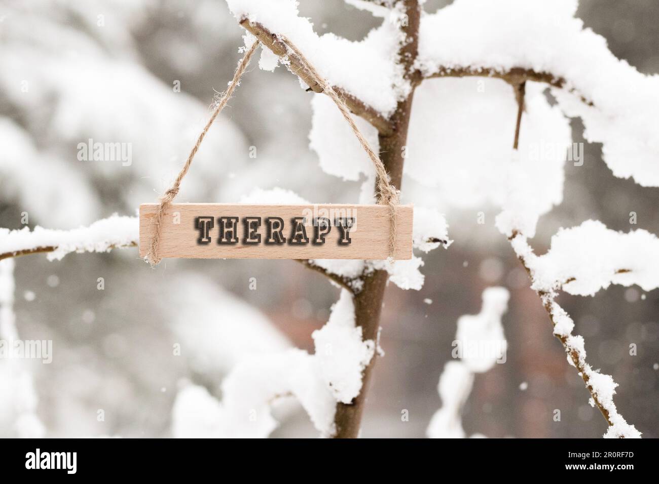 L'inscription thérapie est écrite sur une surface en bois. neige extérieure par temps froid. Banque D'Images