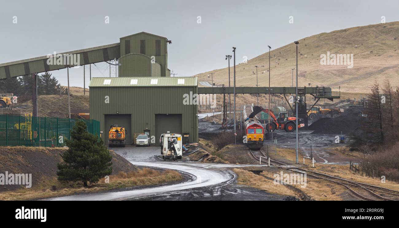 Chargement d'un train de fret britannique DB Cargo au point d'évacuation de Cwmbargoed avec du charbon provenant de la mine à ciel ouvert Ffos-y-Fran, pays de Galles, Royaume-Uni Banque D'Images