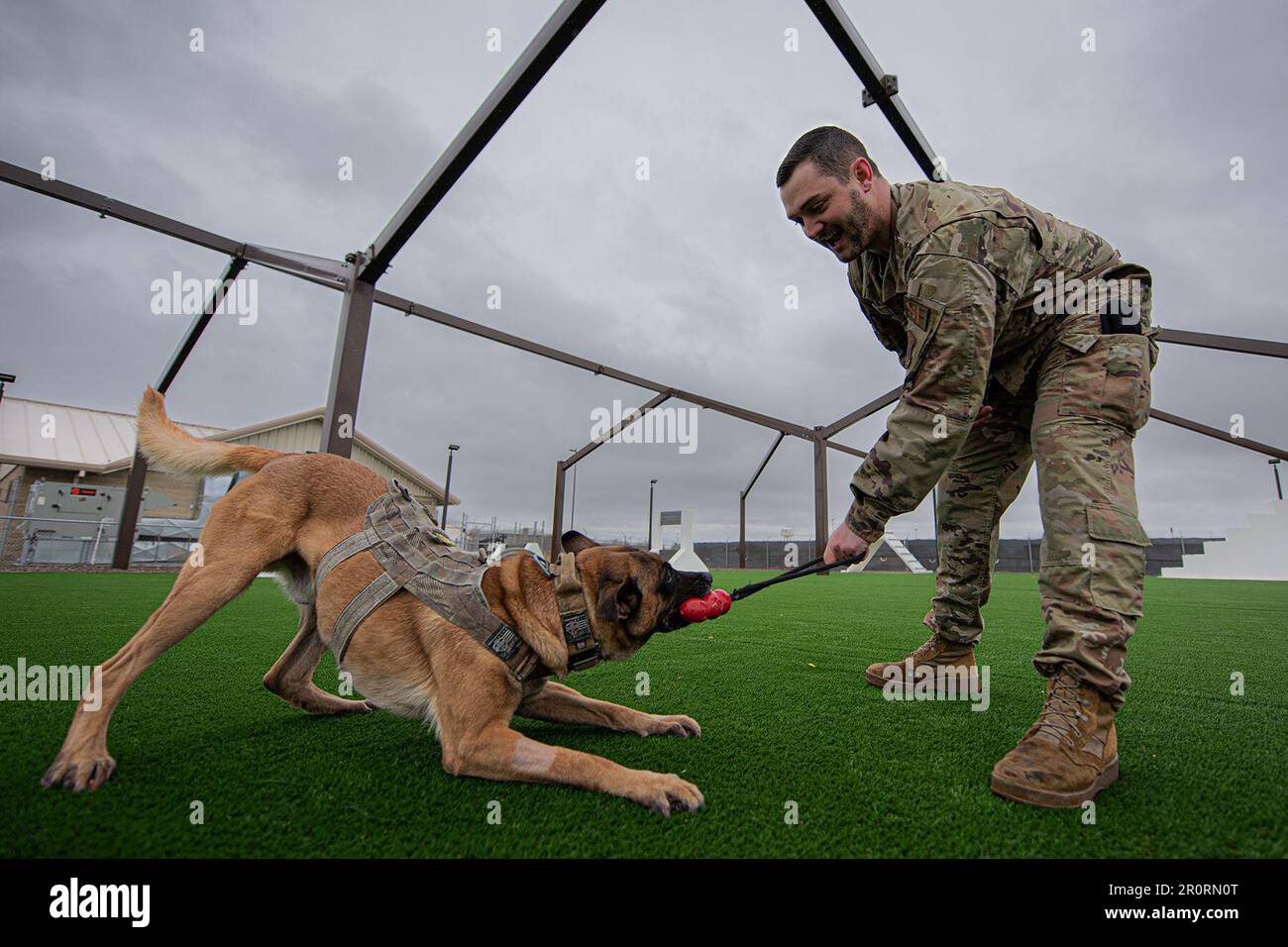 Idaho, États-Unis. 21st avril 2023. ÉTATS-UNIS Le sergent d'état-major de la Force aérienne, Austin Ouest, le maître-chien de travail militaire (MWD) du 366th Escadron de la Force de sécurité, et le MWD Dak pratique des commandements d'obéissance avec une aide à l'entraînement sur la base de la Force aérienne de Mountain Home, Idaho, 21 avril 2023. Les équipes de MWD suivent une formation stricte et continue pour améliorer leurs compétences en matière de détection des explosions et des stupéfiants, ainsi que pour fournir un soutien et une sécurité aux opérations militaires. Crédit : Krista Reed Choate/États-Unis Air Force/ZUMA Press Wire Service/ZUMAPRESS.com/Alamy Live News Banque D'Images