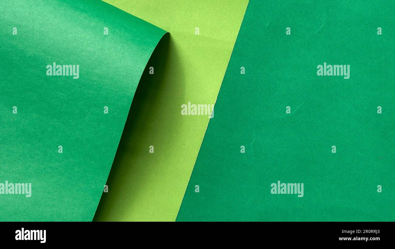 Papier de couleur verte, arrière-plan abstrait pour la conception.dégradé abstrait vert.toile de fond vide frame.green.mise en page papier plat.modèles de bannière verte.boucle de page Banque D'Images