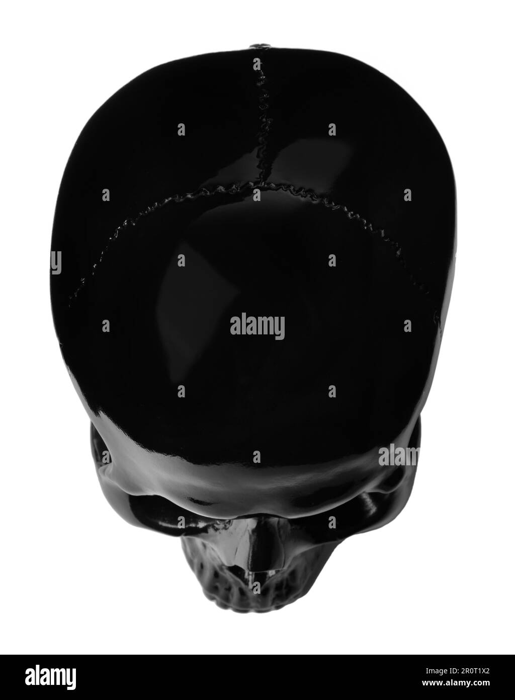 Crâne brillant noir isolé sur blanc, vue de dessus Banque D'Images