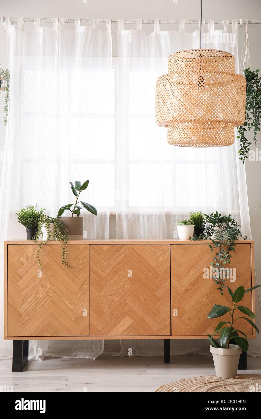 Commode en bois avec plantes de maison dans un salon léger Photo Stock -  Alamy