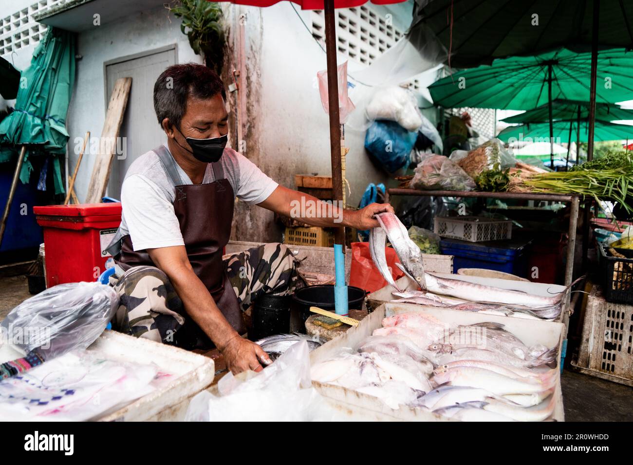 Bangkok, Thaïlande. 10th mai 2023. Un vendeur de poisson organise son produit au marché Phra Khanong à Bangkok, en Thaïlande, sur 10 mai 2023. La Thaïlande tiendra ses élections générales sur le 14 mai 2023. Credit: Matt Hunt/Neato/Alay Live News Banque D'Images