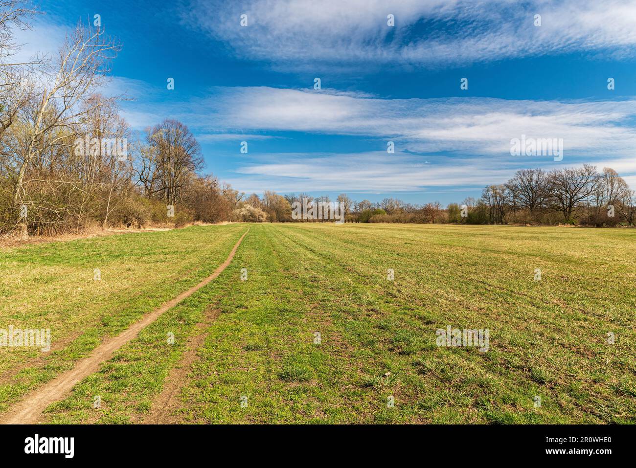Pré du printemps avec sentier et arbres autour de CHKO Poodri près de la ville de Studenka en République tchèque Banque D'Images