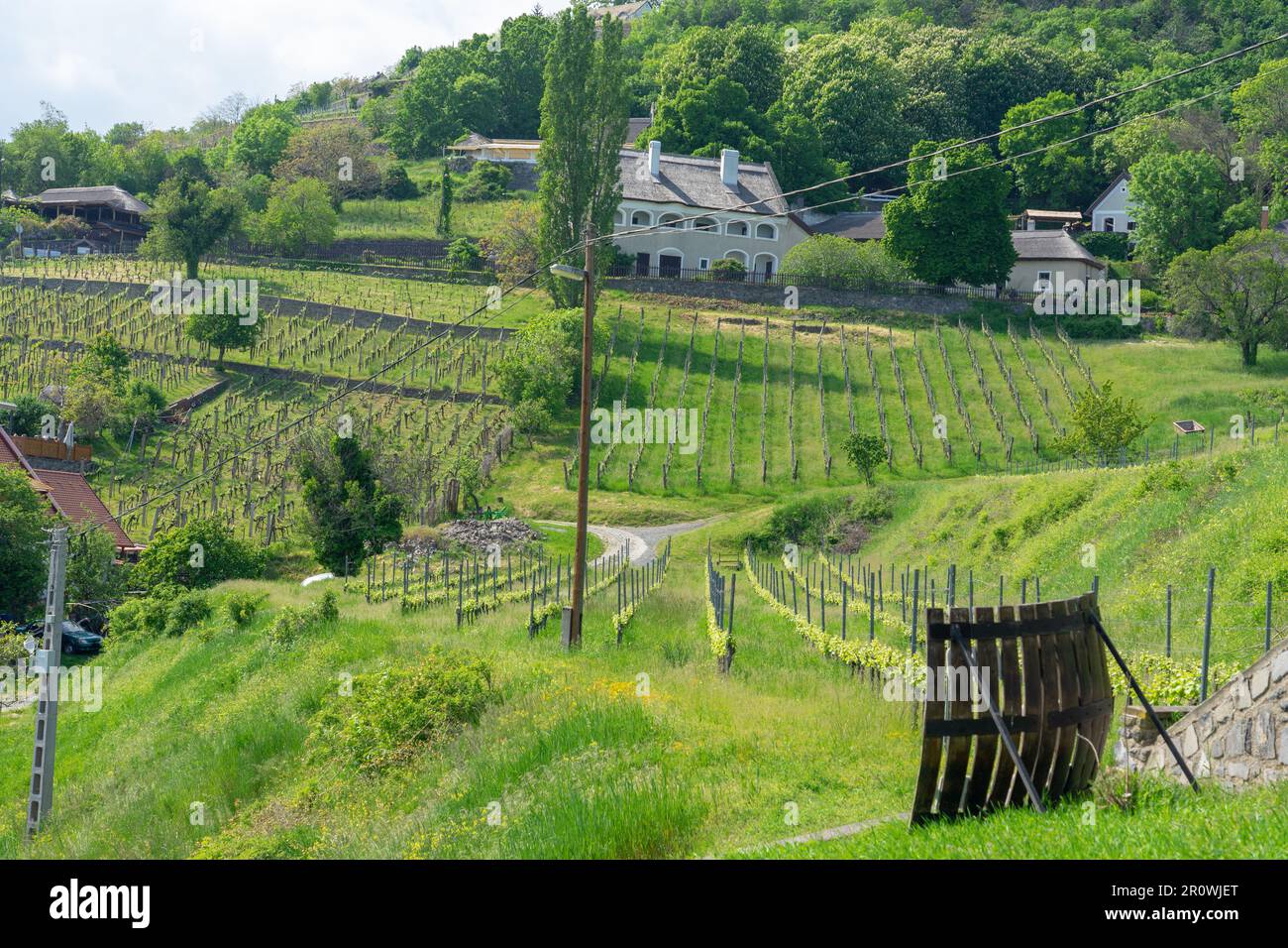 Vignobles jardins de vin au lac Balaton à Baracsony HunGray avec belle vue. Banque D'Images