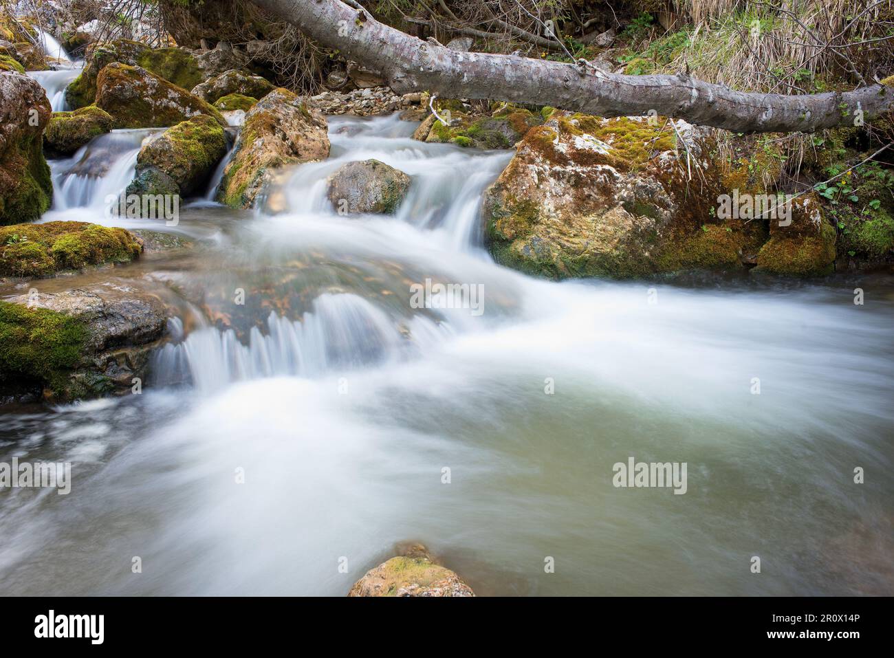 lunga esposísizione all'acqua di un torrente di montagna nelle dolomiti Banque D'Images