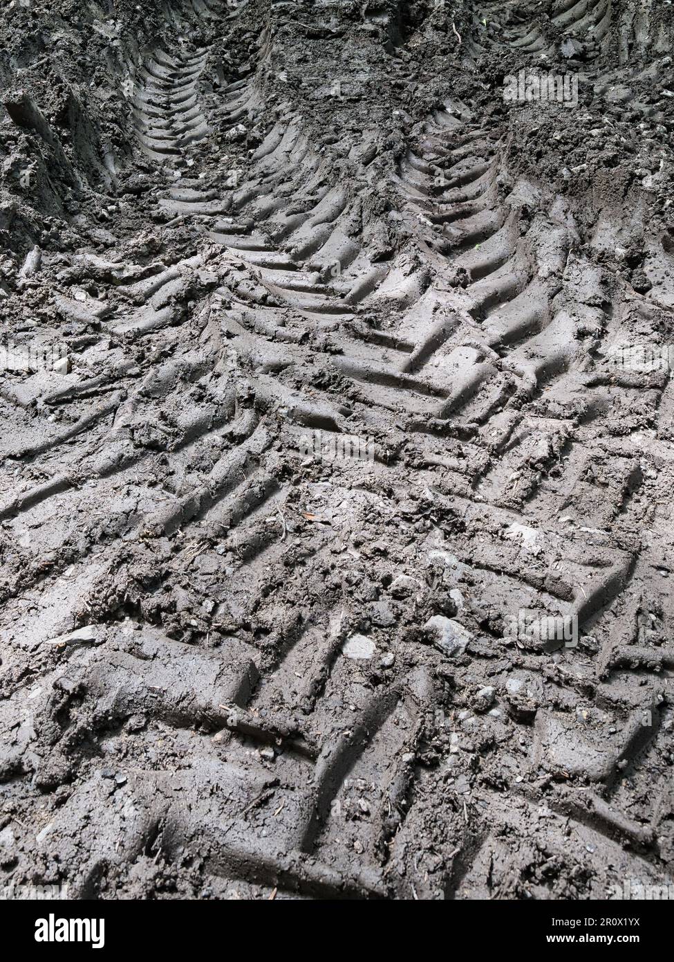 Grossissement des traces profondes de pneus de tracteur dans la boue humide, montrant des marques de bande de roulement de véhicules lourds, une texture de sol rugueuse et une surface de sol agricole Banque D'Images