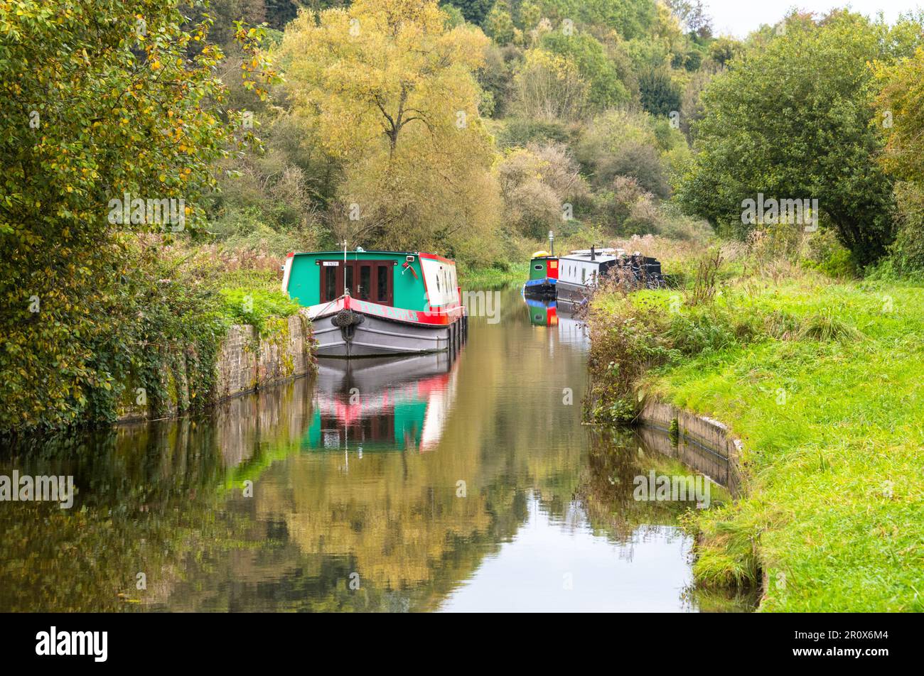 Réflexions sur le canal Kennet et Avon, près de Bath, Somerset, Angleterre Banque D'Images