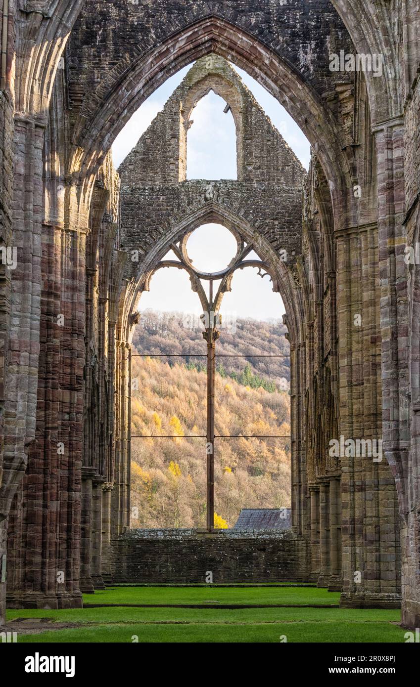 Les ruines de l'abbaye de Tintern, fondée en 1131 par des moines cisterciens, Monbucshire, pays de Galles Banque D'Images