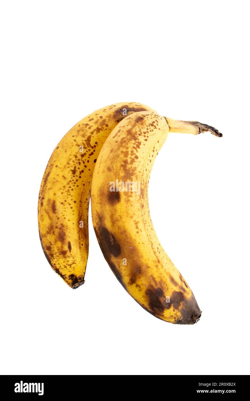 Bananes entières sur fond blanc Banque D'Images