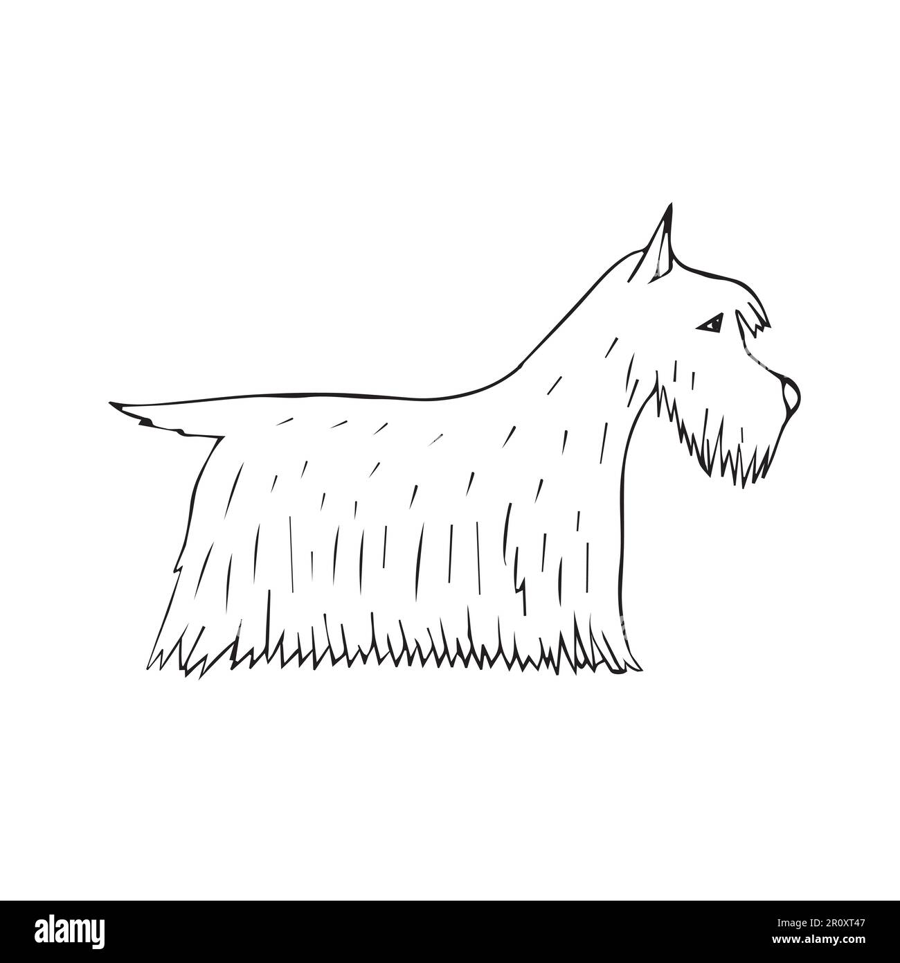 Dessin vectoriel dessiné à la main chien terrier écossais Illustration de Vecteur