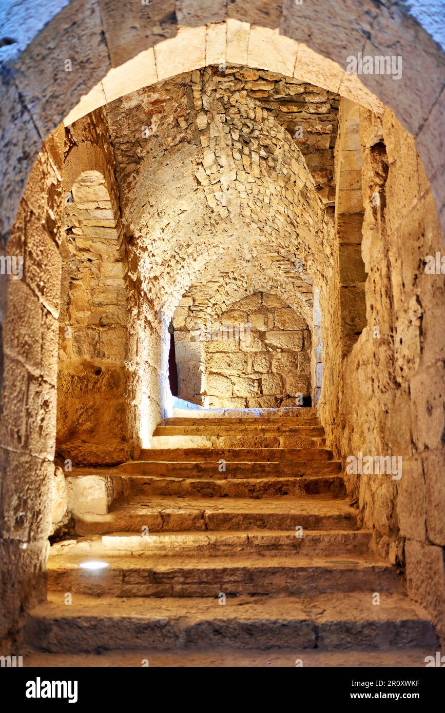 Jordanie. Château d'Ajloun Banque D'Images