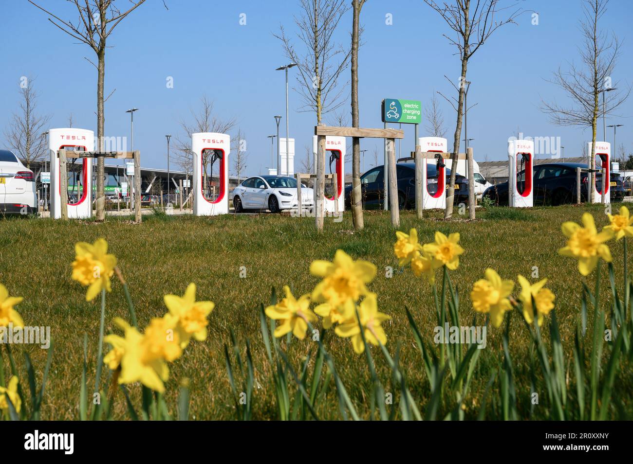 Les voitures Tesla se chargent à des superchargeurs Tesla dans une station-service d'autoroute en Angleterre. Banque D'Images