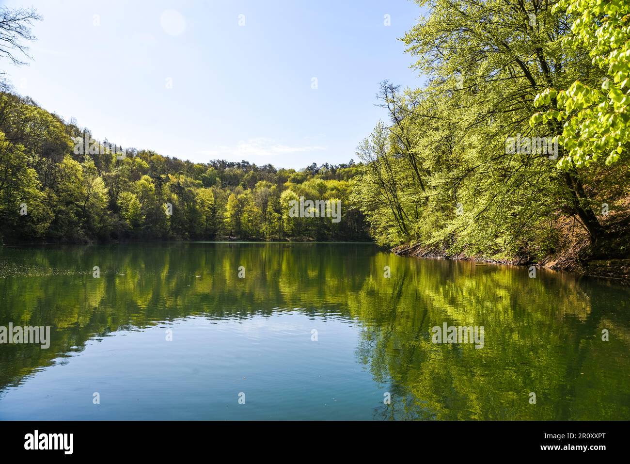 'Szmaragdowe Lake' à Szczecin au printemps. Paysage de printemps forestier. Banque D'Images